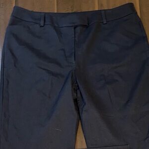 Ann Taylor Curvy Black Pants Women’s plus size 16